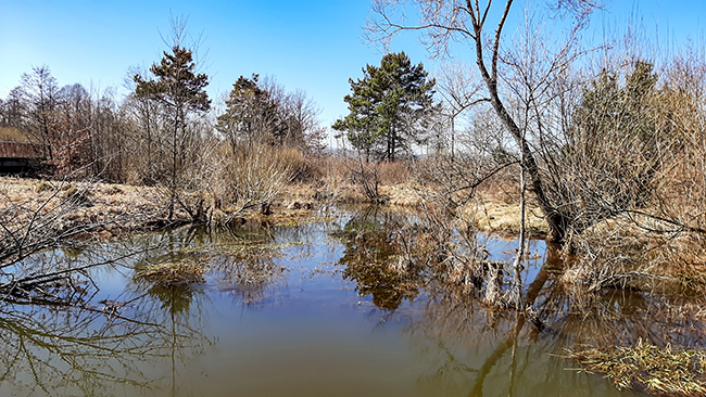 Фотографія РАННЯ ВЕСНА / Зеновій Кулик / photographers.ua