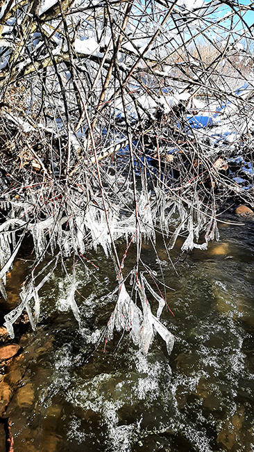 Фотографія НАД ВОДОЮ / Зеновій Кулик / photographers.ua