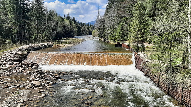 Фотографія ОСМОЛОДА / Зеновій Кулик / photographers.ua