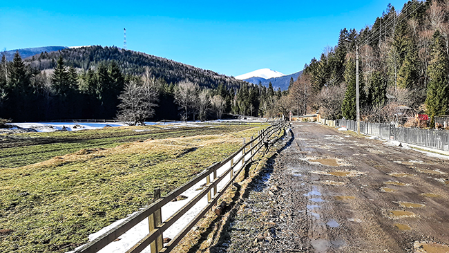 Фотографія ОСМОЛОДА / Зеновій Кулик / photographers.ua