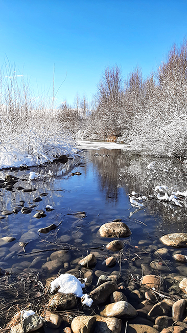 Фотографія ТЕЧЕ РІЧКА НЕВЕЛИЧКА / Зеновій Кулик / photographers.ua