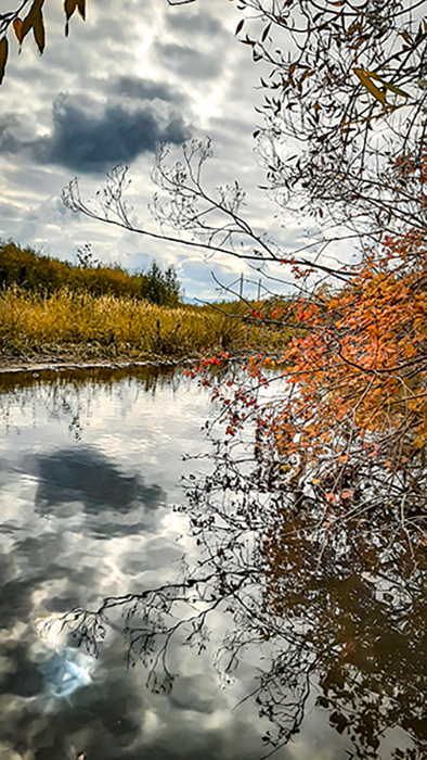 Фотографія ОСІННІЙ МОТИВ / Зеновій Кулик / photographers.ua