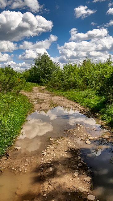 Фотографія ЛУГОВІ ДОРОГИ / Зеновій Кулик / photographers.ua