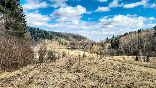Фотографія РАННЯ ВЕСНА В КАРПАТАХ / Зеновій Кулик / photographers.ua