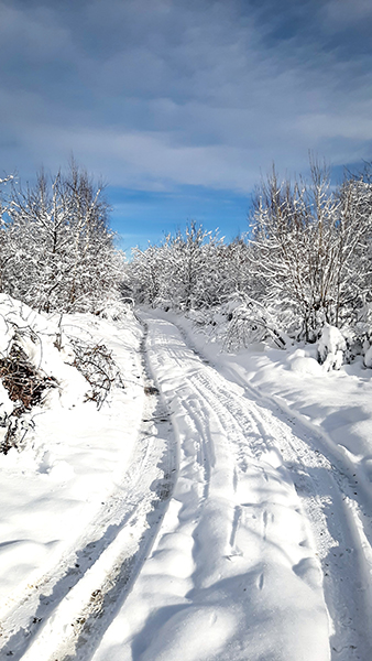 Фотографія НА ПОРОЗІ ЗИМИ / Зеновій Кулик / photographers.ua