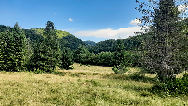 Фотографія ПРИКАРПАТТЯ / Зеновій Кулик / photographers.ua