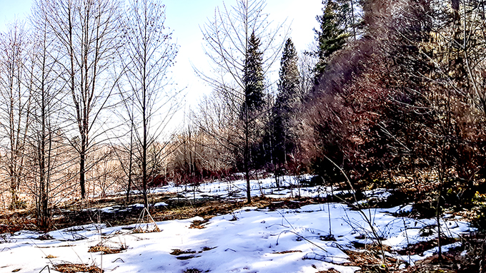 Фотографія БЕРЕЗЕНЬ / Зеновій Кулик / photographers.ua