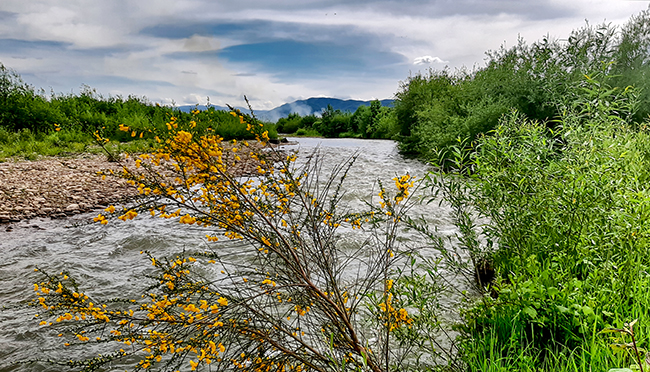 Фотографія РІКА ЛІМНИЦЯ / Зеновій Кулик / photographers.ua