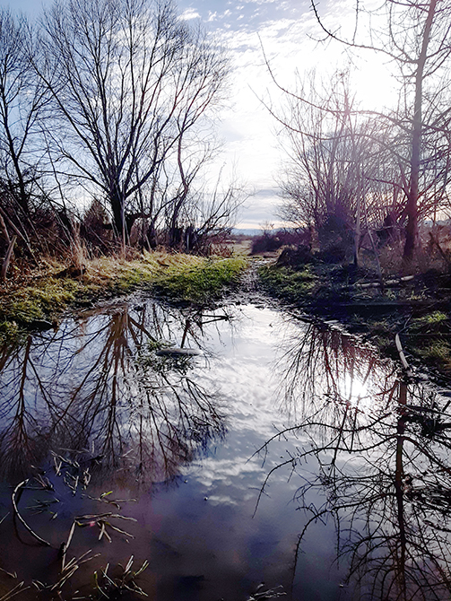 Фотографія ЗИМА НА ПОРОЗІ / Зеновій Кулик / photographers.ua