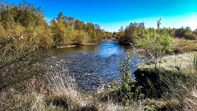 Фотографія ОСІНЬ / Зеновій Кулик / photographers.ua