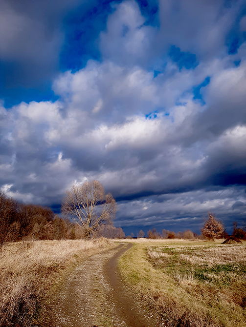 Фотографія МІЖ ОСЕННЮ І ЗИМОЮ / Зеновій Кулик / photographers.ua