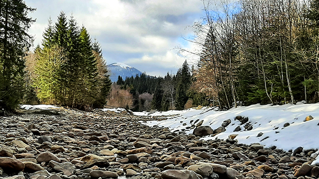 Фотографія НА ПОРОЗІ ВЕСНИ / Зеновій Кулик / photographers.ua