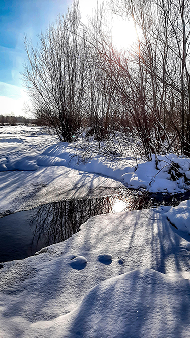 Фотографія МОРОЗНИЙ РАНОК / Зеновій Кулик / photographers.ua