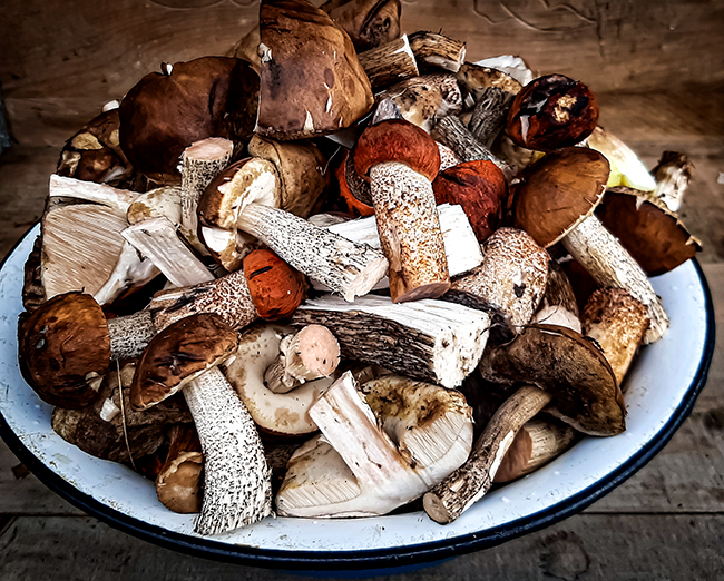 Фотографія НАТЮРМОРТ / Зеновій Кулик / photographers.ua