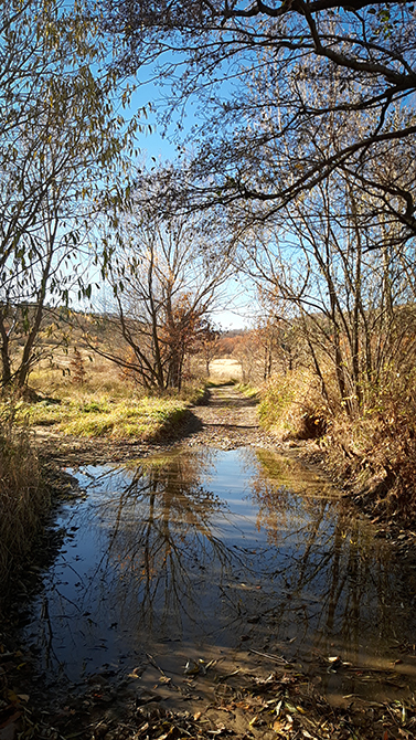 Фотографія ОСІННІЙ ЗАТИШОК / Зеновій Кулик / photographers.ua