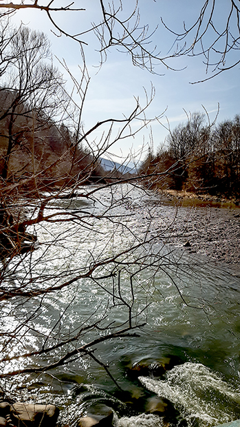 Фотографія ЛІМНИЦЯ / Зеновій Кулик / photographers.ua