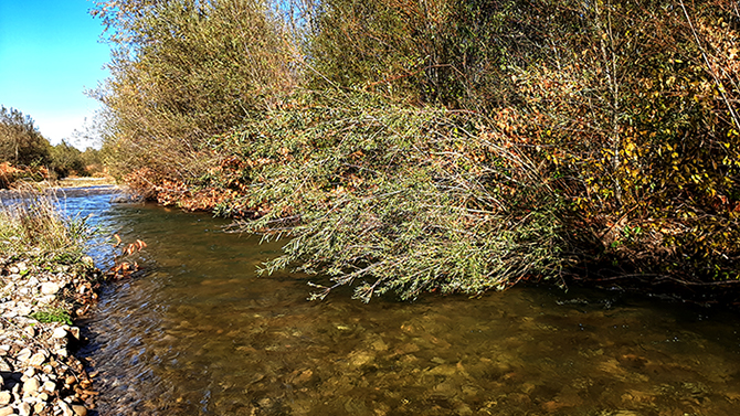 Фотографія ОСІНЬ НА БЕРЕГАХ РІКИ / Зеновій Кулик / photographers.ua