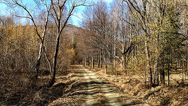 Фотографія РАННЯ ВЕСНА / Зеновій Кулик / photographers.ua