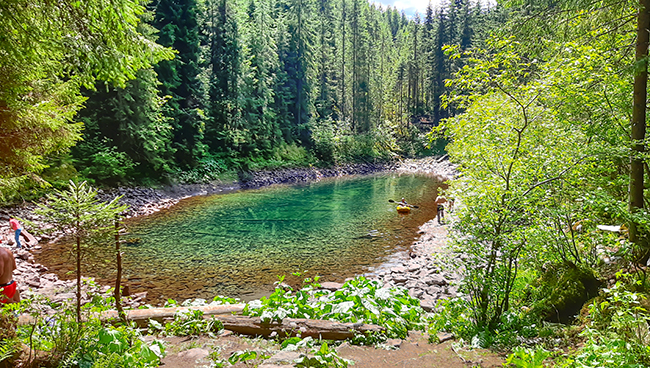Фотографія РОЗСОХАН / Зеновій Кулик / photographers.ua
