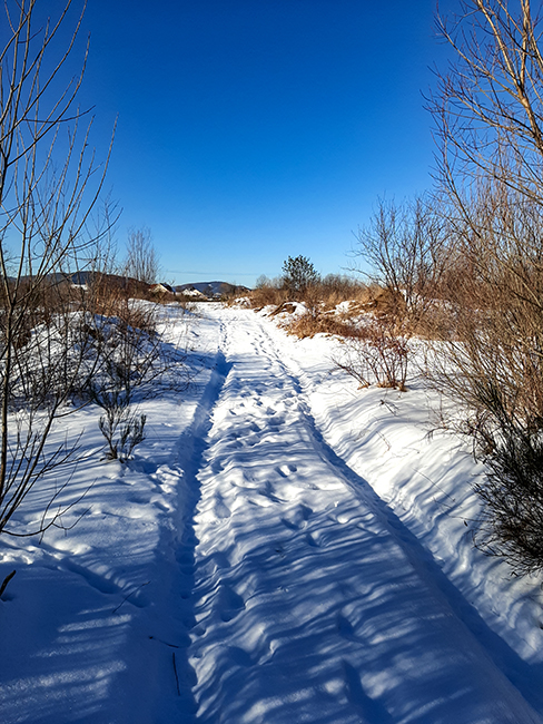 Фотографія ДОРОГА ДОДОМУ / Зеновій Кулик / photographers.ua