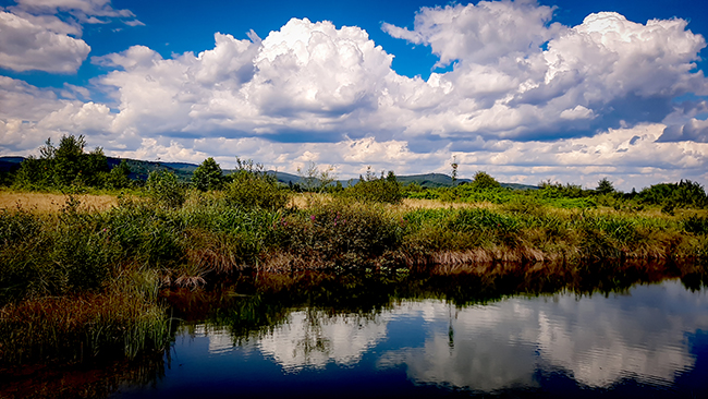 Фотографія СТАВОК / Зеновій Кулик / photographers.ua