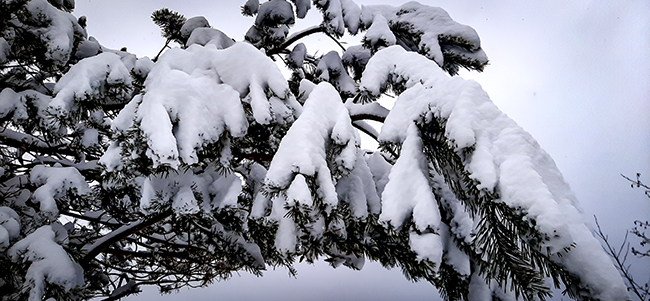 Фотографія ЗИМА / Зеновій Кулик / photographers.ua
