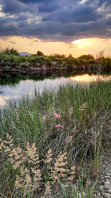 Фотографія ЛІТНІ ВЕЧОРИ / Зеновій Кулик / photographers.ua
