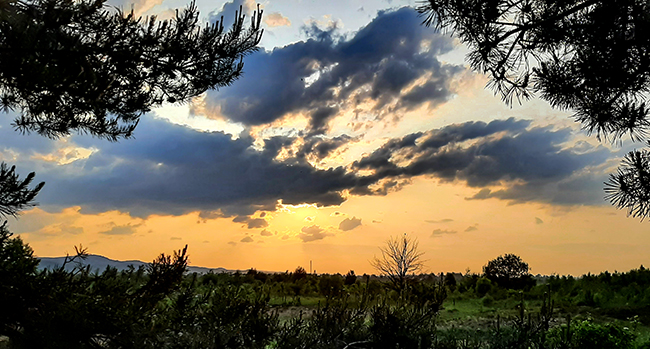 Фотографія ПРИКАРПАТСЬКІ ВЕЧОРИ / Зеновій Кулик / photographers.ua