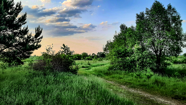 Фотографія НАДВЕЧІРЯ / Зеновій Кулик / photographers.ua