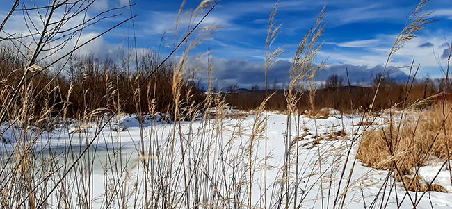 Фотографія ЗИМА / Зеновій Кулик / photographers.ua