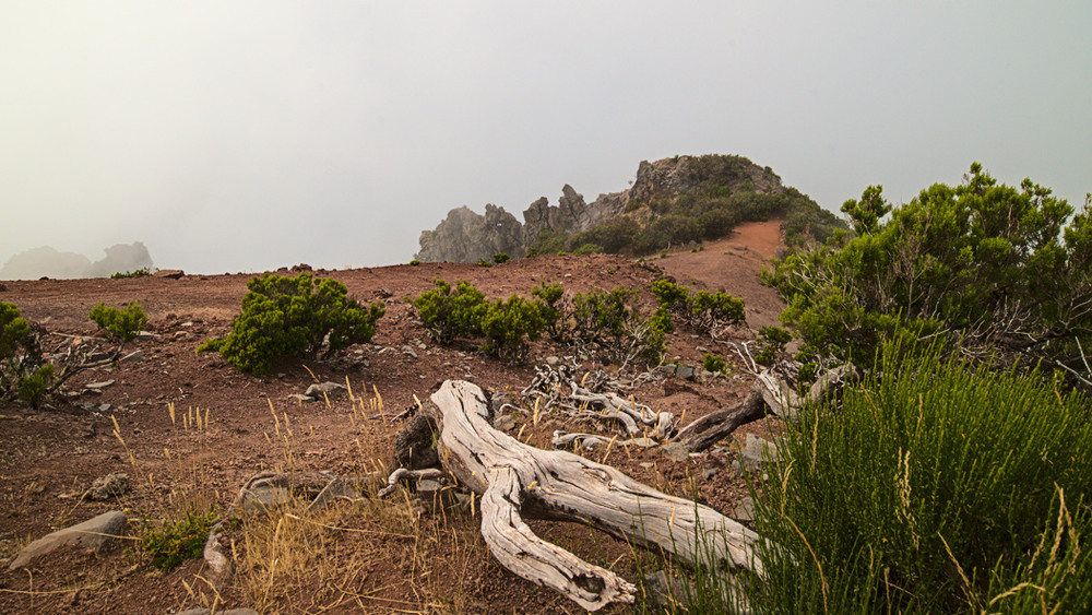 Фотографія Спящий на вершине (навеяно Артюром Рембо) / Олександр Скоропад / photographers.ua