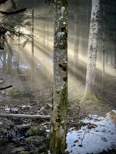 Фотографія Промені сонця / Олексій Тураєв / photographers.ua