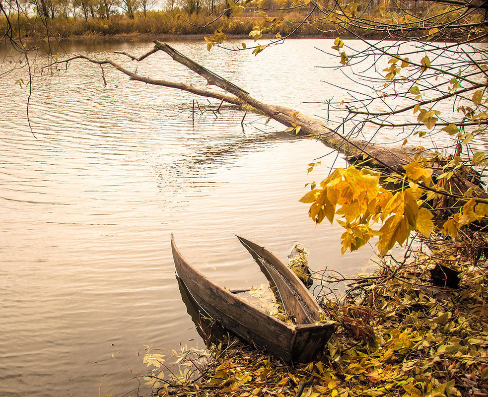 Фотографія Плакала осінь... / Валерій Петрович / photographers.ua