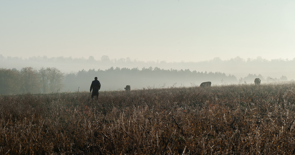 Фотографія Ранковою порою / Валерій Петрович / photographers.ua