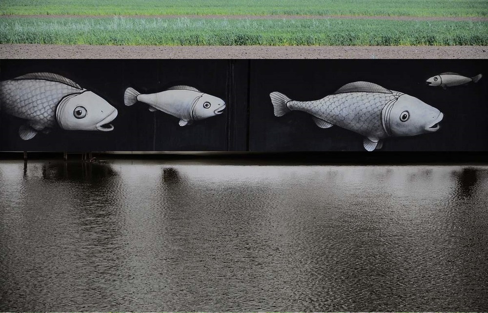 Фотографія Ставок, як він і є... / Чмерук Микола / photographers.ua