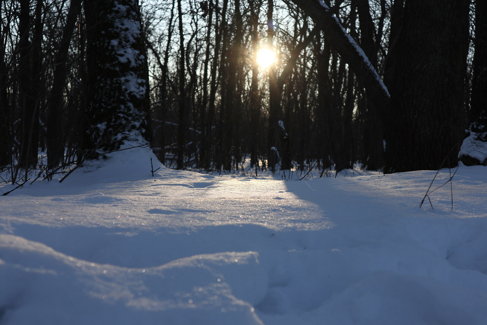 Фотографія Пейзаж / Юрій Тимофієнко / photographers.ua