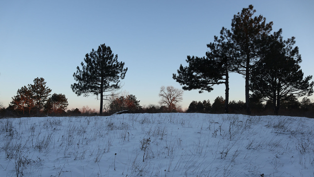 Фотографія Перед заходом сонця / Юрій Тимофієнко / photographers.ua