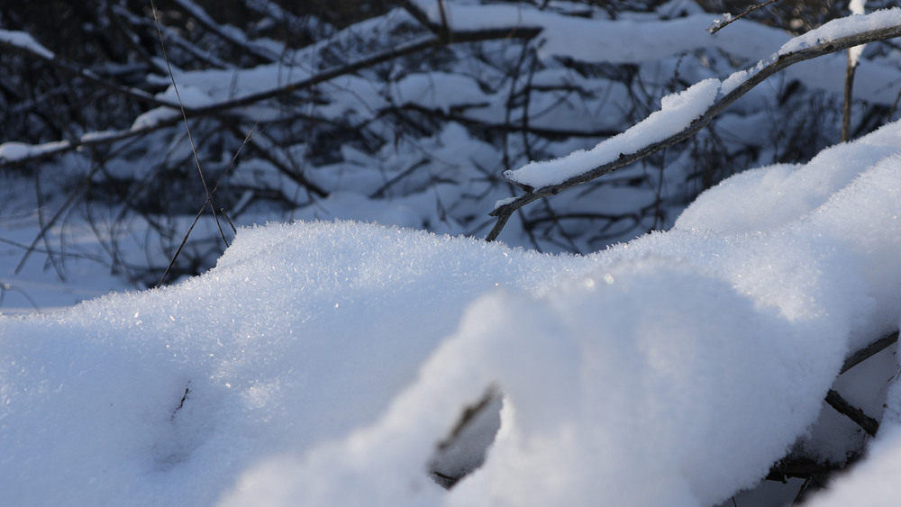 Фотографія Пейзаж / Юрій Тимофієнко / photographers.ua