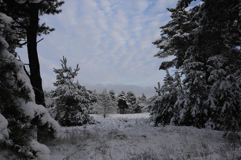 Фотографія Взимку / Юрій Тимофієнко / photographers.ua