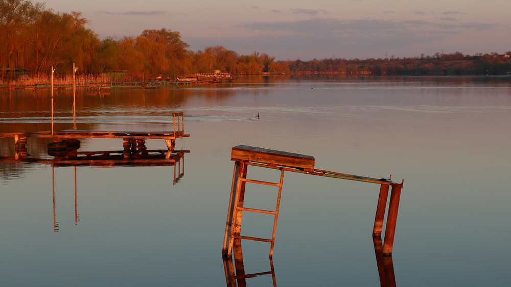 Фотографія Ранковий час / Юрій Тимофієнко / photographers.ua