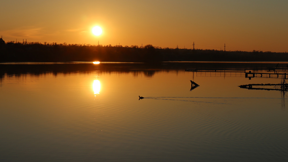 Фотографія Спокій / Юрій Тимофієнко / photographers.ua