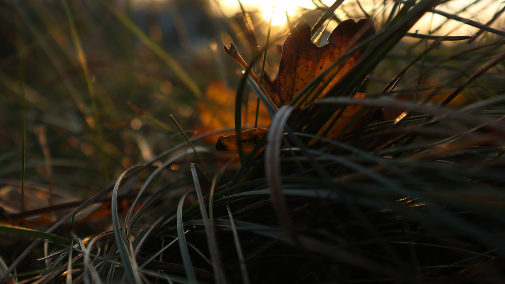 Фотографія Сутінкова зона / Юрій Тимофієнко / photographers.ua