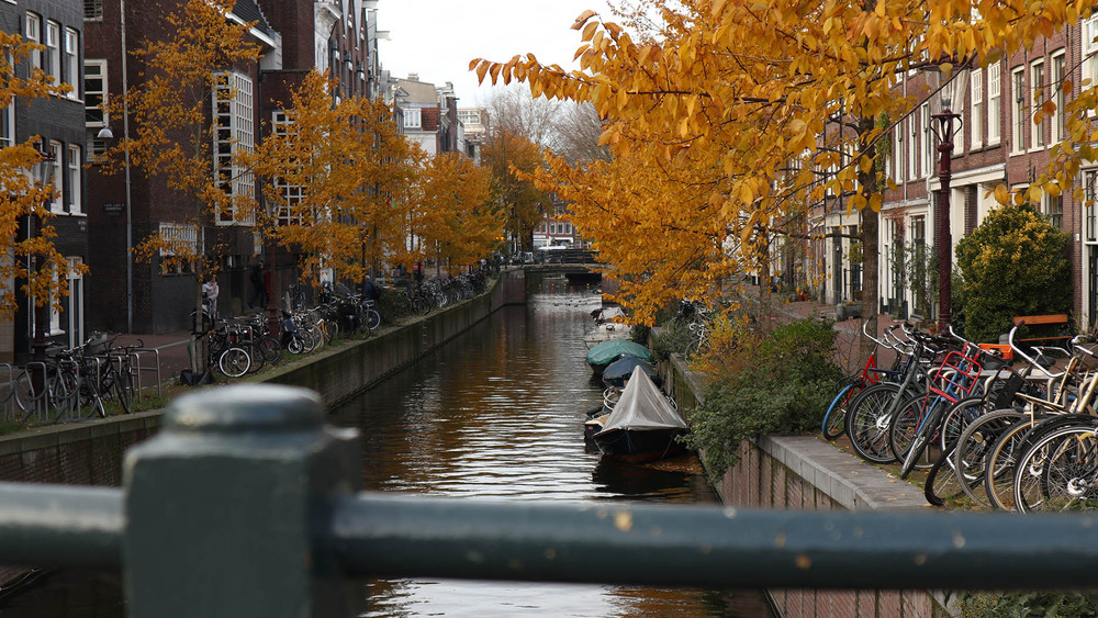 Фотографія Амстердам листопад 2 / Юрій Тимофієнко / photographers.ua