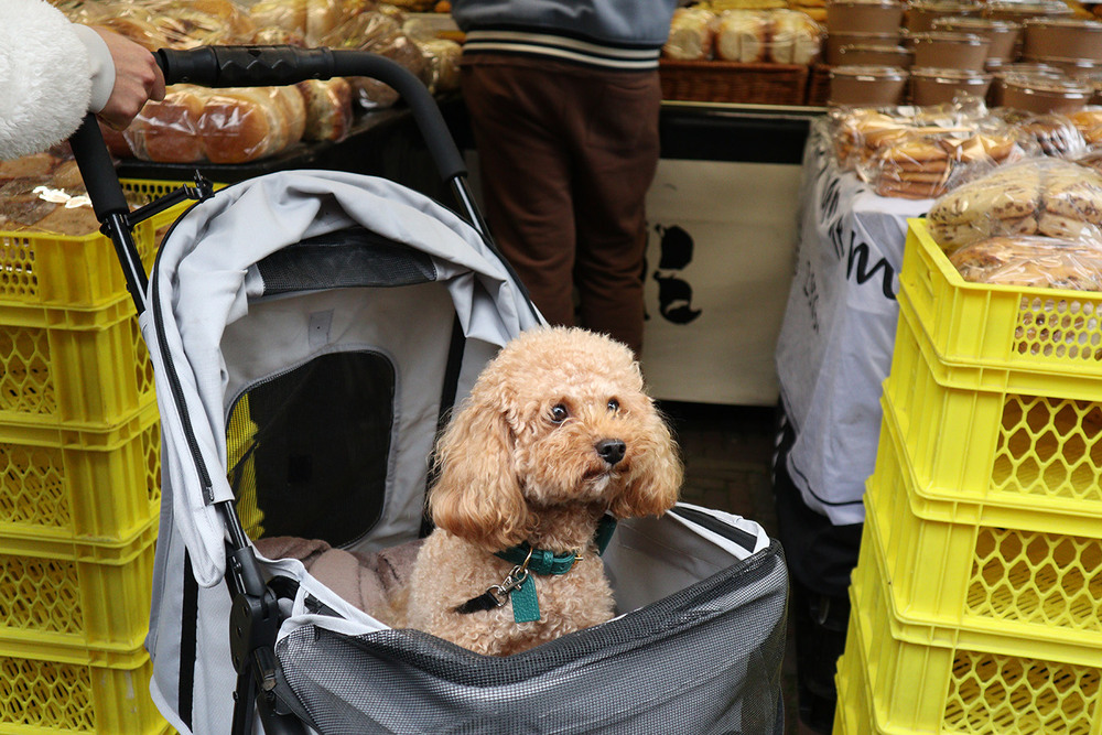 Фотографія Domus / Юрій Тимофієнко / photographers.ua