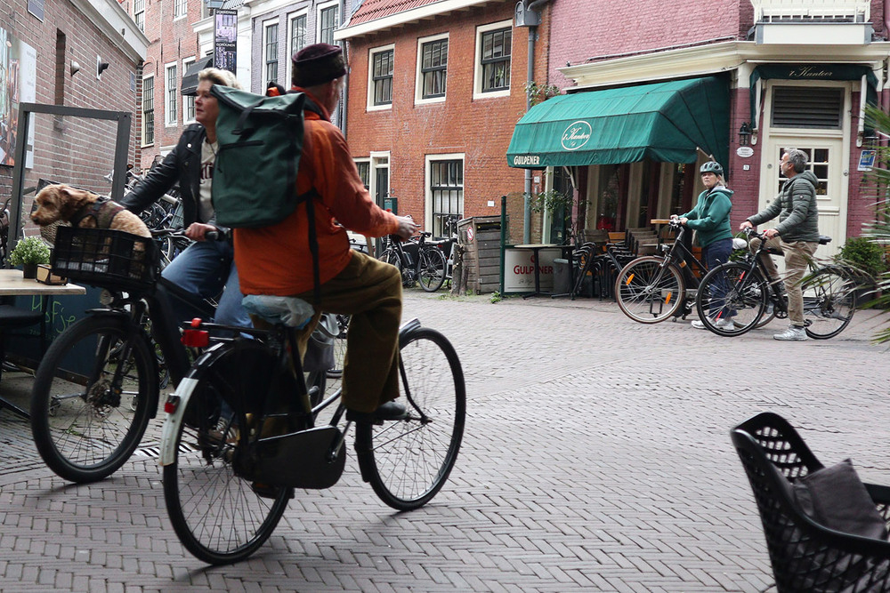 Фотографія Motus / Юрій Тимофієнко / photographers.ua