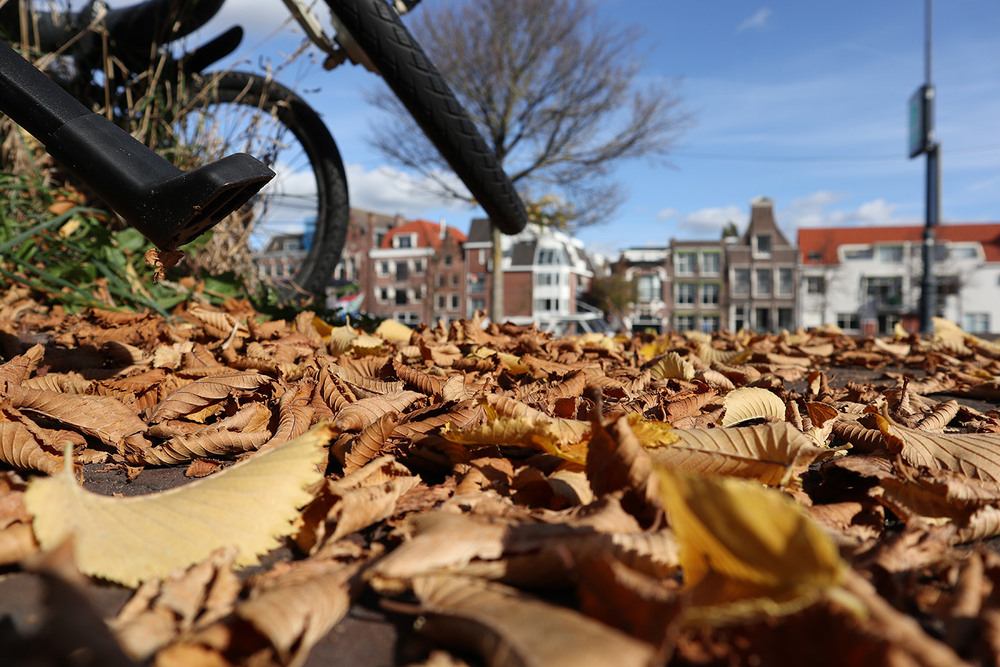 Фотографія Octobris 2 / Юрій Тимофієнко / photographers.ua