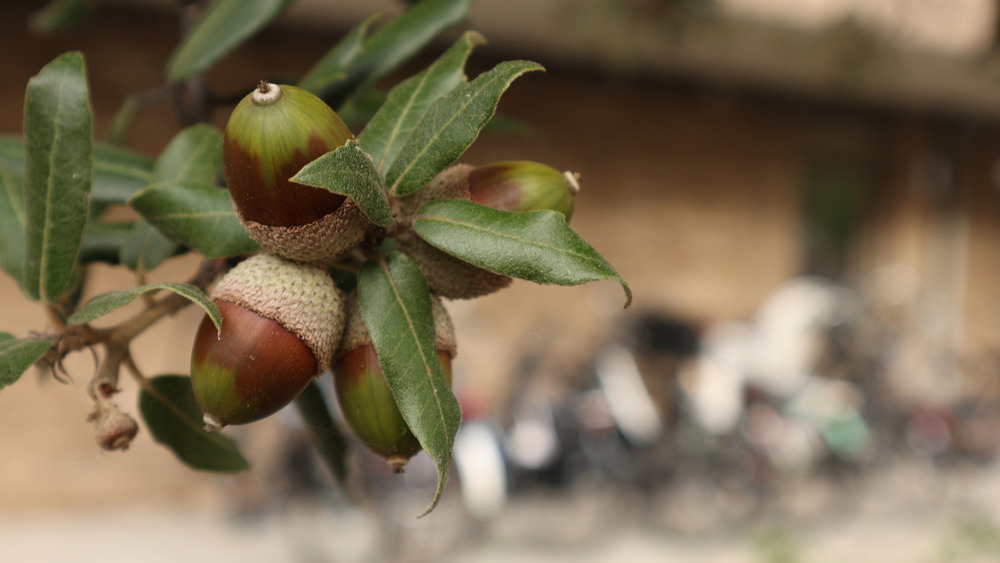 Фотографія Octobris 3 / Юрій Тимофієнко / photographers.ua