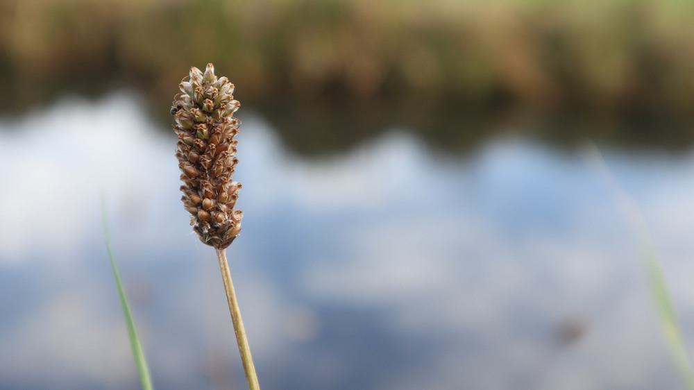 Фотографія Octobris 6 / Юрій Тимофієнко / photographers.ua