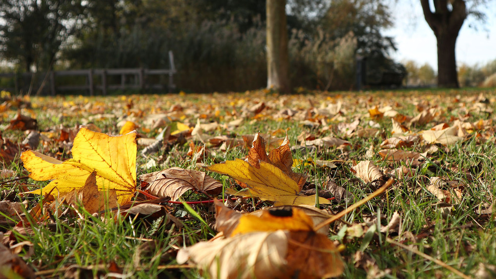 Фотографія Novembri 4 / Юрій Тимофієнко / photographers.ua