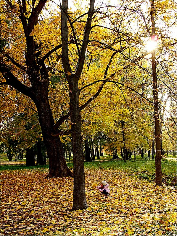 Фотографія Осенний парк / EAS / photographers.ua